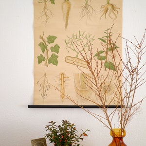 Póster desplegable vintage con hermosas ilustraciones de raíces desgastadas de diversas plantas para la decoración del hogar.