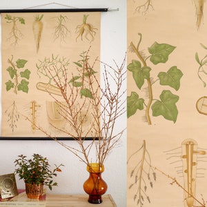 Tableau déroulant vintage, magnifiquement illustré racines patinées de diverses plantes pour la décoration intérieure