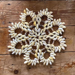 Crystal shaped Cowrie Shell coaster