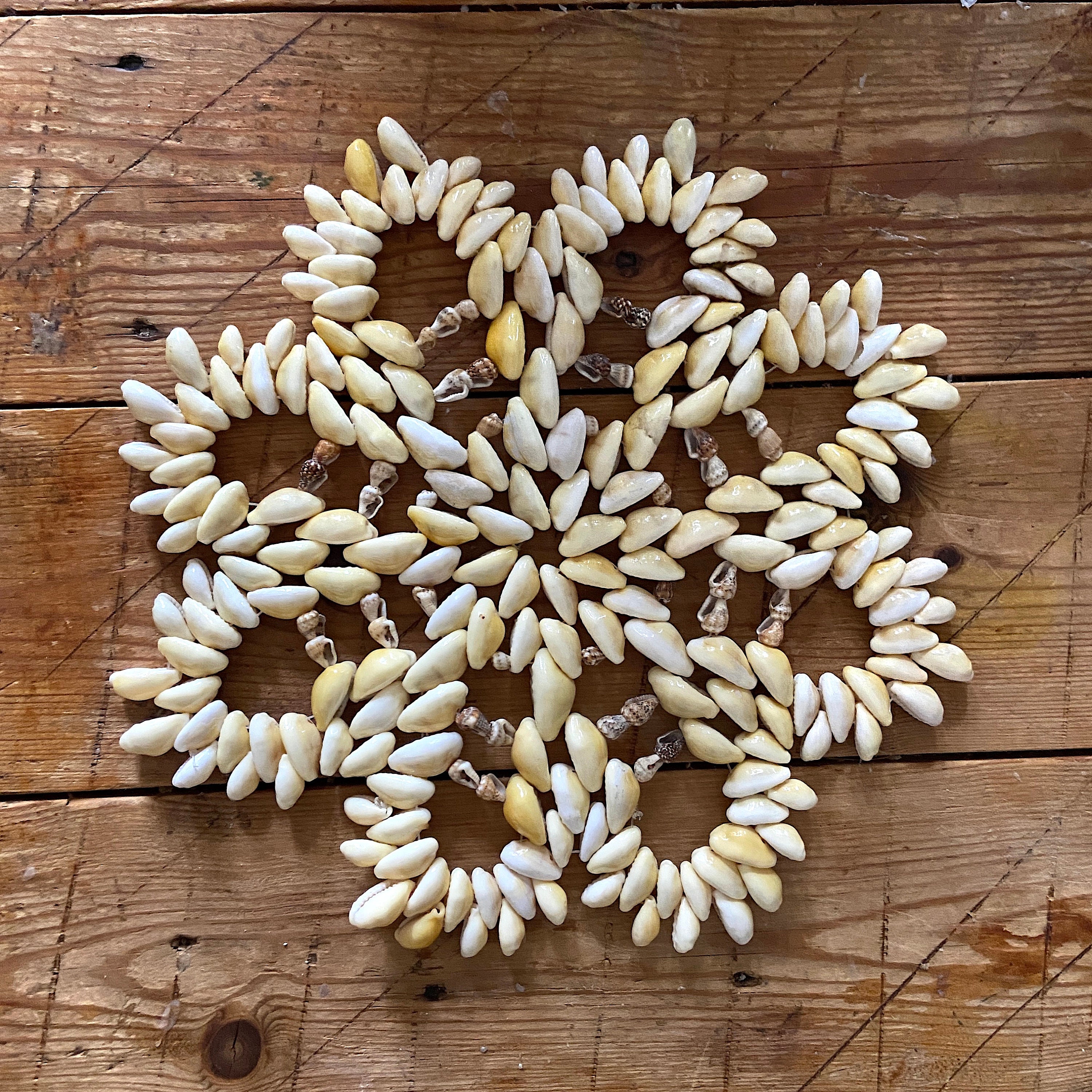 Crystal shaped Cowrie Shell coaster