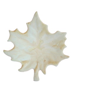 May include: A white ceramic leaf-shaped dish with a slightly textured surface. The dish is perfect for serving small snacks or holding jewelry.