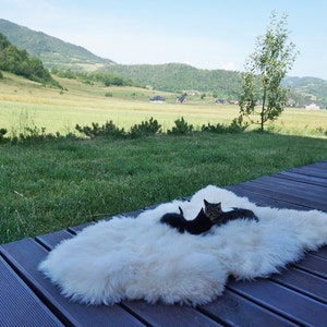 Original BIG Xl Weiß Echter Natürlicher Schaffell Teppich Exklusiver Teppich, Großes Schaffell Katzenbett, Woll-Katzenbett Matte, Haustier Katze