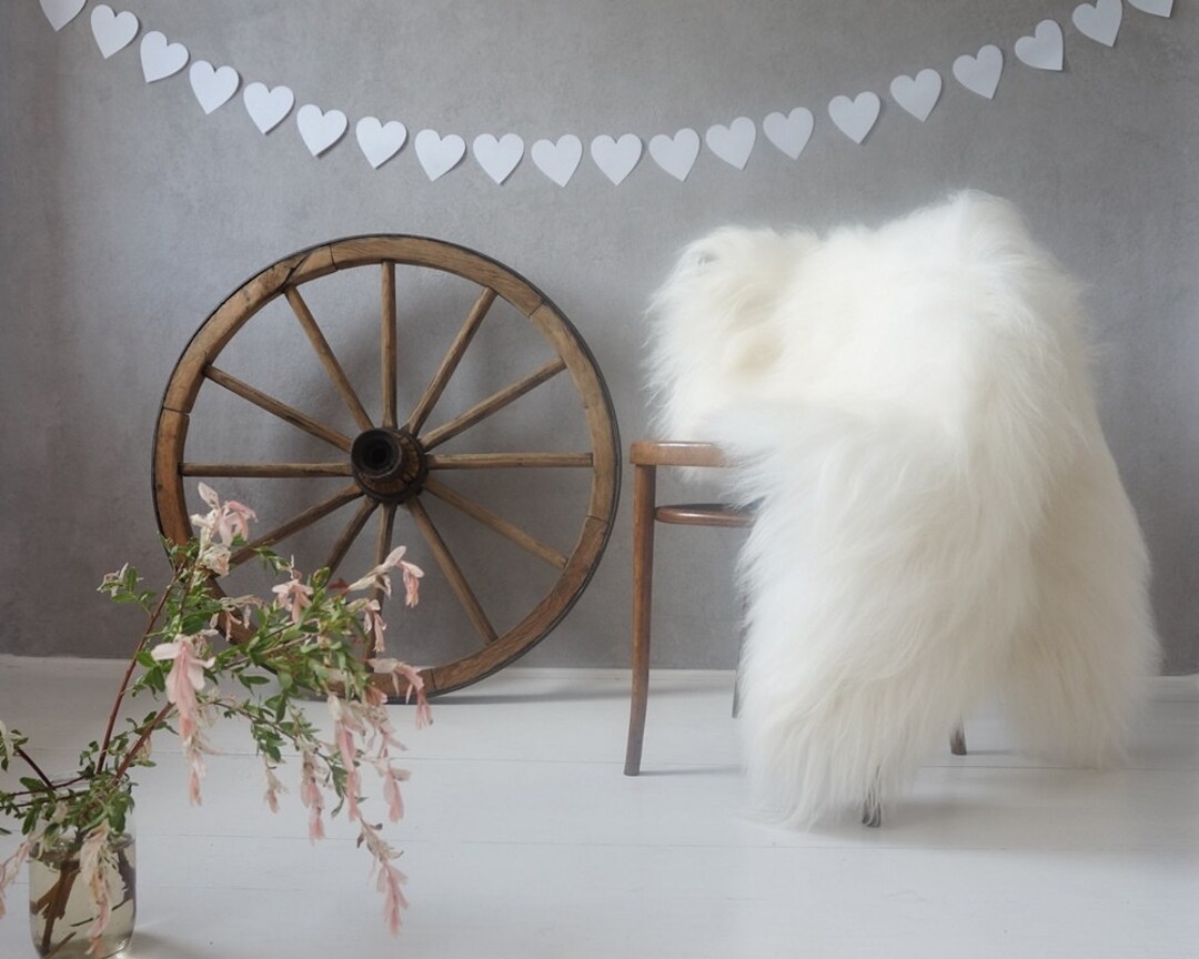 Giant White Icelandic Sheepskin Rug, Genuine Leather Throw (52x32) - Etsy