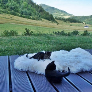 Original BIG XL Weiß Echter Natürlicher Schaffell Teppich Exklusiver Teppich, Großes Schaffell Katzenbett, Woll-Katzenbett Matte, Haustier Katze