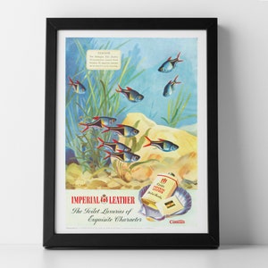 Anuncio de jabón de cuero imperial 1950, impresión de póster enmarcado o sin marco, decoración de pared vintage, ideas de regalos únicas, decoración del hogar