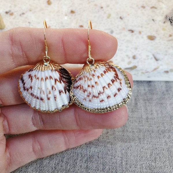 Shell drop earrings, cowrie shell earrings, cowrie boho earrings, shell minimalist earrings, summer jewelry, womens gift, gift for her