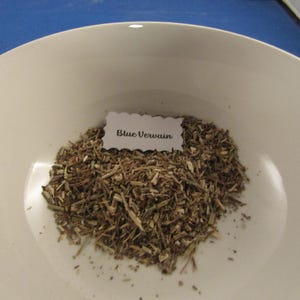 Blue Vervain, 1 oz. pkg.