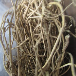 May include: A close-up of a pile of dried, light brown roots. The roots are tangled together and appear to be very thin and fibrous.