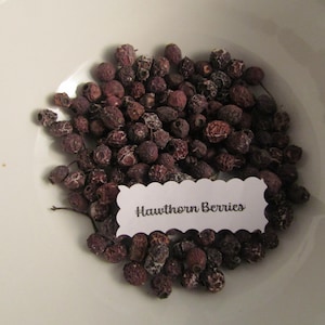 Hawthorn Berries  1 oz. Bag