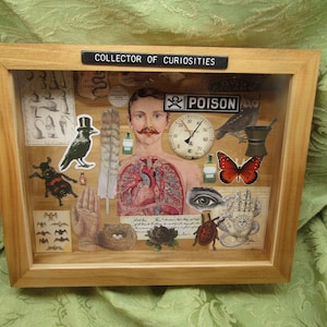 Collector of Curiosities Framed Box