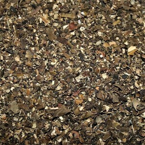Bladderwrack,  1 ounce package