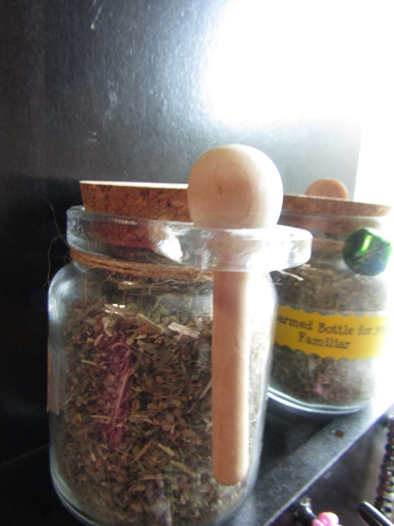 Catnip in a Jar Familiar Jar of Catnip 2 oz. Etsy