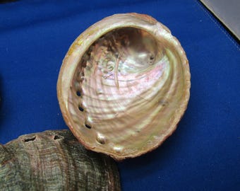 Cuenco para incienso de concha de abulón natural: soporte de incienso de 3 a 3,5 pulgadas