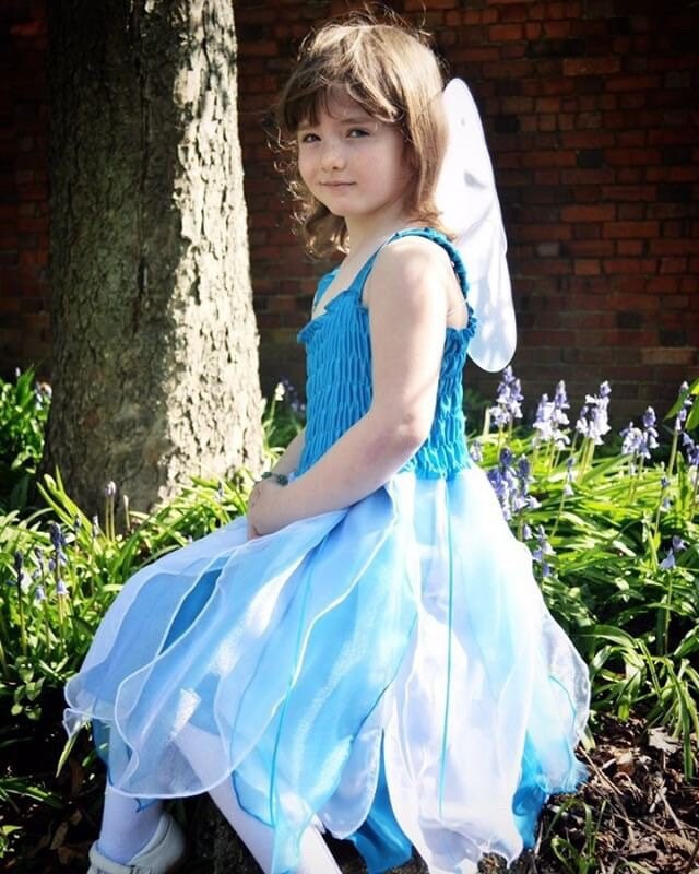 Girl's Fairy Dress Blue Fairy Dress Girl's Blue Etsy