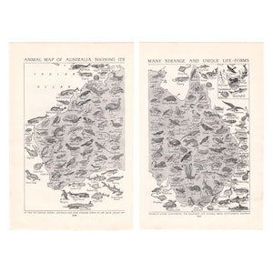 May include: Two vintage prints depicting an animal map of Australia, showcasing various species. The left print is titled "Animal Map of Australia Showing Its" and the right print is titled "Many Strange and Unique Life-Forms". The maps are in black and white.