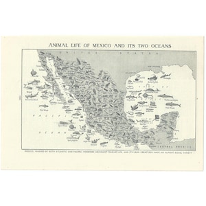 May include: A vintage map of Mexico and its surrounding oceans, featuring illustrations of various marine animals. The map includes the text "Animal Life of Mexico and Its Two Oceans" and "Mexico, washed by both Atlantic and Pacific, possesses abundant marine life."