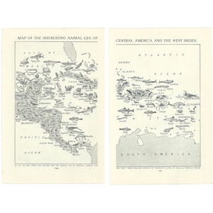中央アメリカと西インド諸島の動物地図プリント2枚セット。1920年代のオリジナルヴィンテージ書籍ページを使用。地理、野生動物、自然、動物に関するギフトに最適。