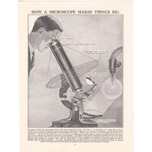May include: An illustration titled "HOW A MICROSCOPE MAKES THINGS BIG" shows a diagram of a microscope with labels. A person is looking through the eyepiece. The diagram shows how light is reflected and magnified through the lenses.