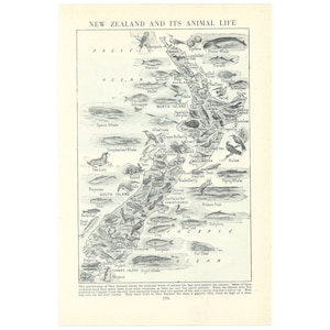 New Zealand Animal Life 1950's Print. Genuine Original Vintage Book Page. Map Zoology Related Gift Present. Unframed Pictorial Wall Decor.