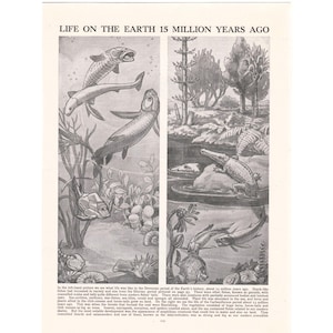 May include: Black and white illustration depicting life on Earth 15 million years ago. The image shows aquatic and terrestrial scenes with various prehistoric creatures, including fish, reptiles, and plants. The text "LIFE ON THE EARTH 15 MILLION YEARS AGO" is at the top.