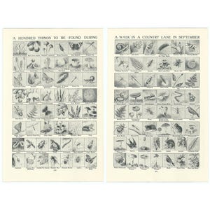 May include: Two vintage botanical prints. The left print reads "A Hundred Things to be Found During" and the right print reads "A Walk in a Country Lane in September." Each print features a grid of small, detailed illustrations of plants, insects, and other natural elements.