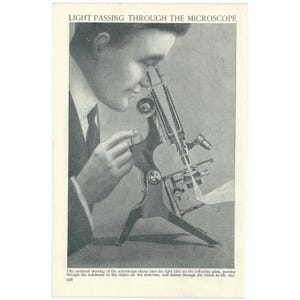 May include: A black and white illustration of a person using a microscope. The light source is shown passing through the condenser, then through the object on the slide, and finally through the lenses to the eye. The text "LIGHT PASSING THROUGH THE MICROSCOPE" is at the top of the image.