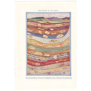 1930's Vintage Geology Print. Rocks Earth Layers Palaezoic Mesozoic Kainozoic Ages Art. Genuine Original Colour Book Plate. Ready To Frame.