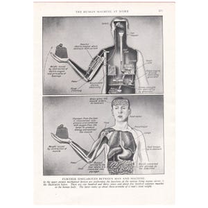 May include: Black and white illustration comparing the human body to a machine. The top half shows a mechanical diagram with labels like "fuel pipe" and "steam engine." The bottom half depicts the human body with labeled organs and processes.