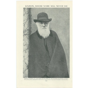 Vintage Charles Darwin Print. Original Genuine 1920&#39;s Lithograph Book Plate/Page. Wall decor Art Artwork. Science Biology Related Gift.