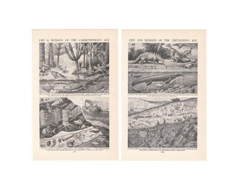 1950年代の古生物学プリント2枚。石炭紀と白亜紀。先史時代の動物のアート写真。本物のオリジナル古書ページ。