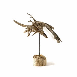 Driftwood Sculpture: Abstract Mosquito Wood Art, Studio Decor