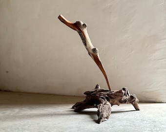 May include: A wooden sculpture made from two pieces of driftwood. The larger piece is a base with a rough, natural texture. The smaller piece is a branch with a smooth, polished texture. The branch is positioned upright and appears to be growing from the base.