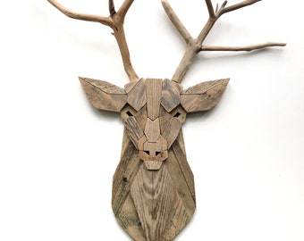 日本鹿の頭　狩猟トロフィー　縦 約73cm×横約43cm 日本鹿の頭 狩猟トロフィー 縦 約73cm×横約43cm 日本鹿の頭 狩猟