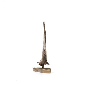 Driftwood Sculpture: Abstract Wood Table Decor, Studio Art