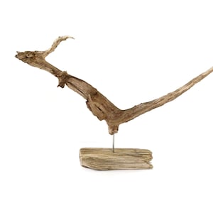 Driftwood Dragon Sculpture: Abstract Wood Art Table Centerpiece