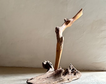 May include: A natural wood sculpture with a unique, abstract design. The sculpture is made of driftwood and has a light brown color. It is a modern and minimalist piece of art that would look great in any home.