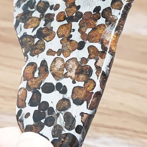 18.9g Seymchan Pallasite meteorite slice, Olive meteorite,beautiful meteorite slice, Meteorite Gift  449D46