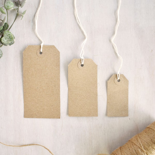 Brown Kraft Luggage Tags (3 sizes)