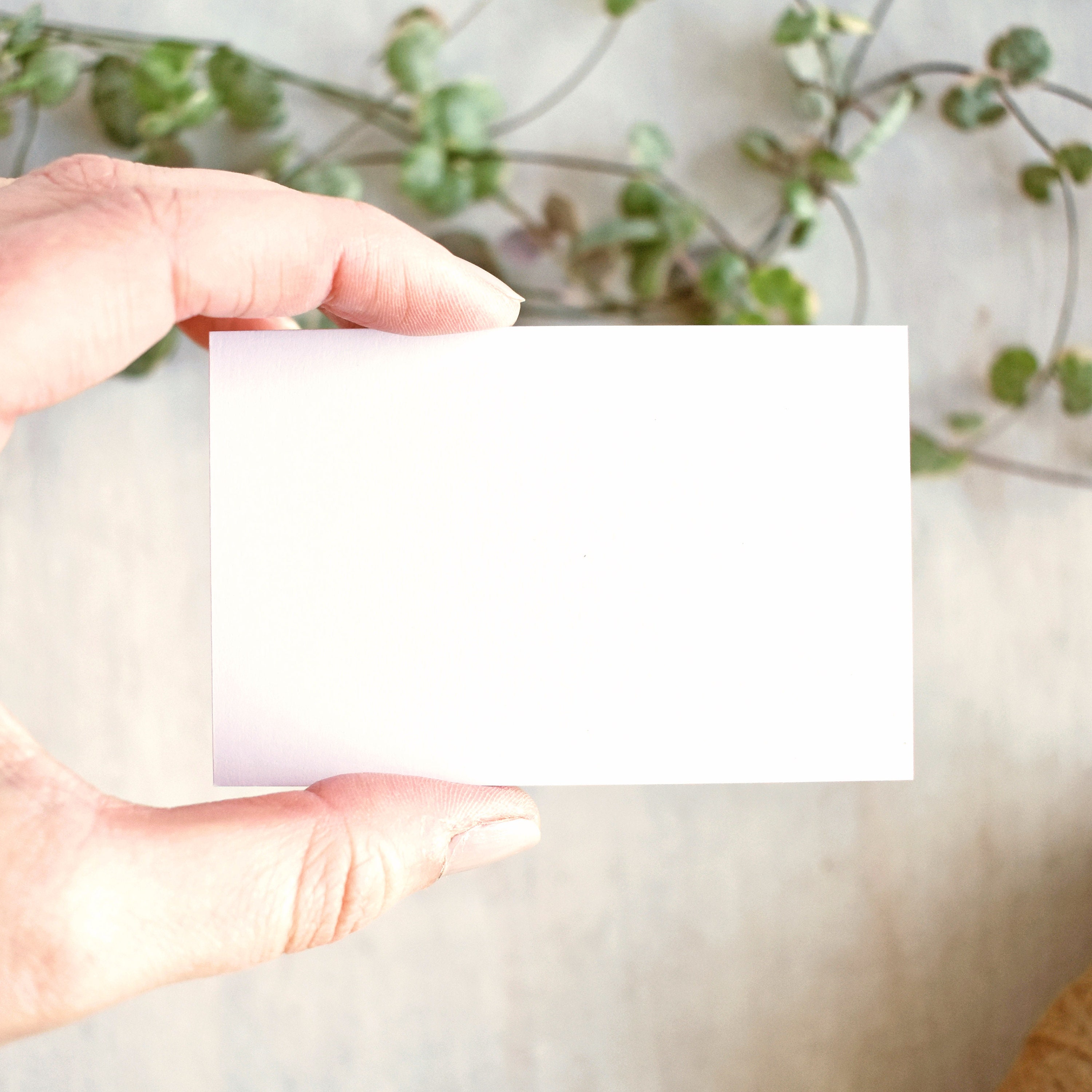 Blank White Business Cards 85 X 55mm 