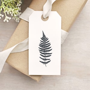 Botanical Fern Frond Leaf Clear Rubber Stamp