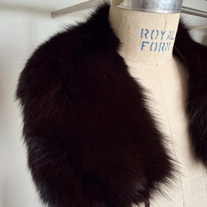May include: A dark brown fur collar displayed on a mannequin. The collar is thick and plush, with a deep, rich color. The mannequin has the words "ROYAL FORM" printed on it.