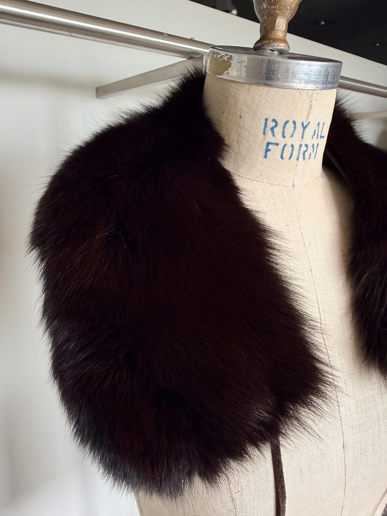 May include: A dark brown fur collar displayed on a mannequin. The collar is thick and plush, with a deep, rich color. The mannequin has the words "ROYAL FORM" printed on it.