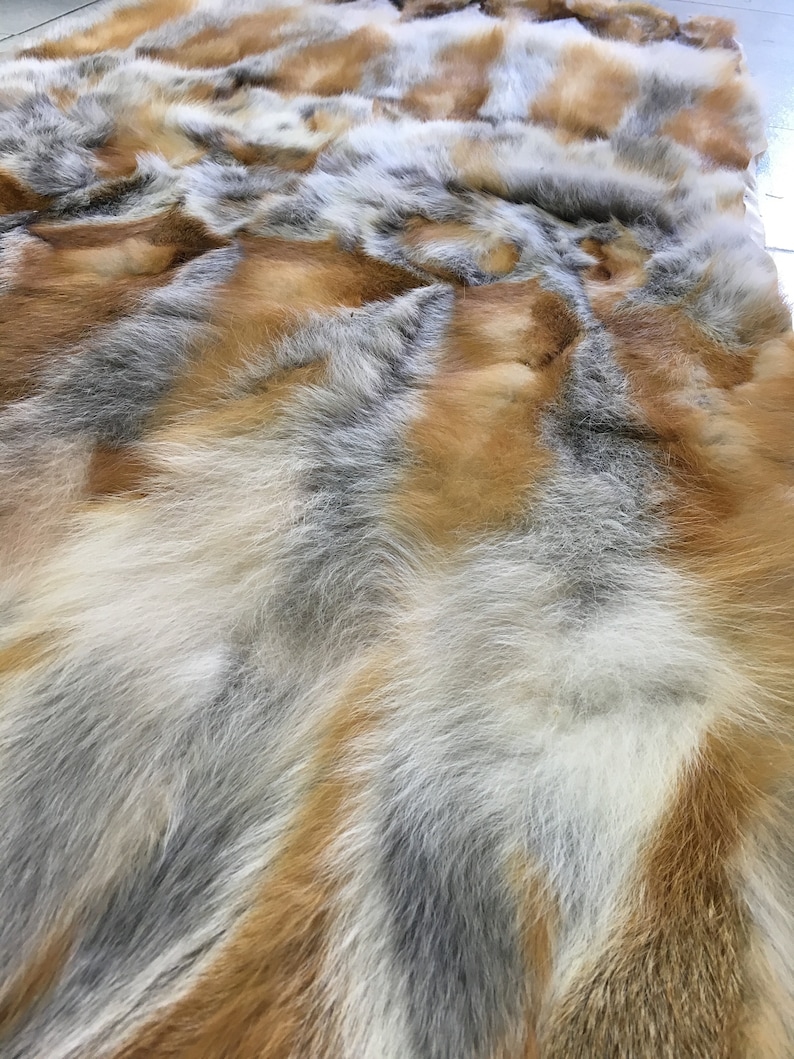 Pode incluir: Um close-up de um tapete de pele de raposa. A pele &eacute; uma mistura de branco, cinza e laranja.