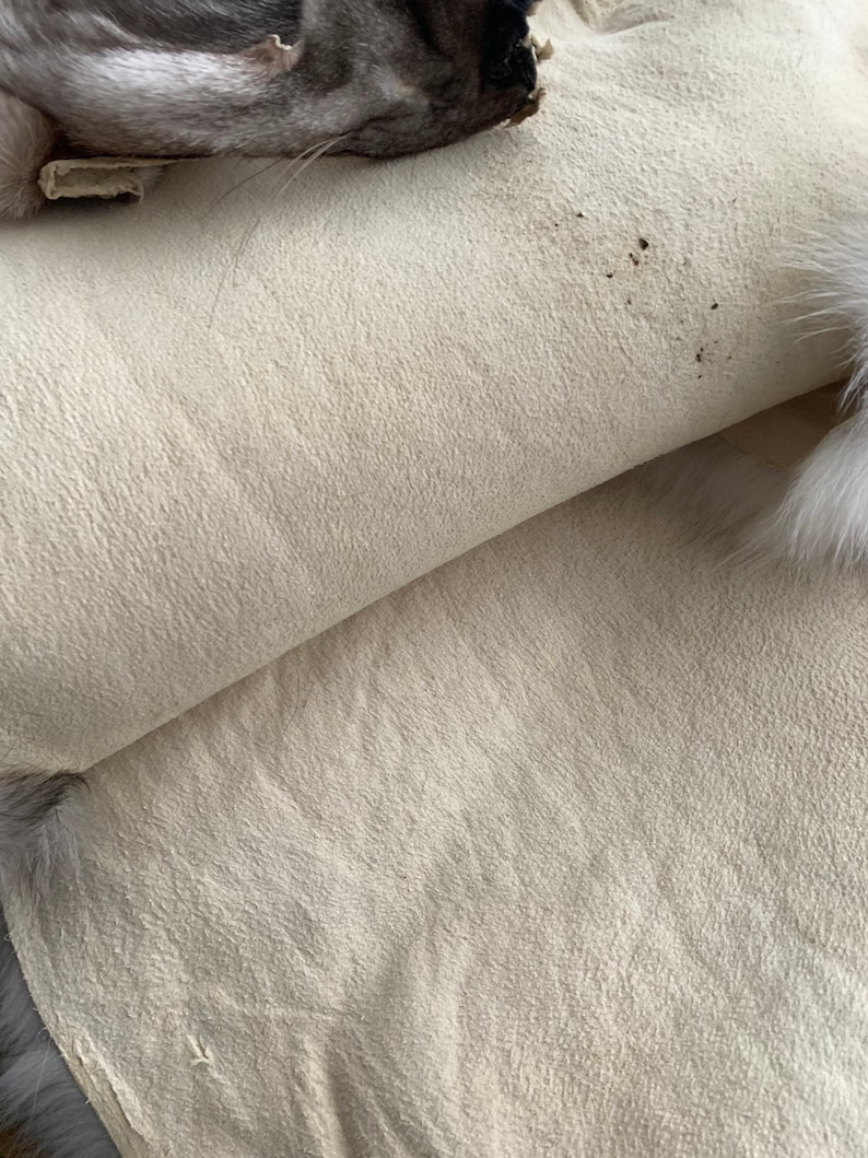 Puede incluir: Primer plano de una tela de piel beige claro con una superficie ligeramente texturizada. La tela est&aacute; doblada por la mitad, revelando la parte inferior, que es de color beige claro liso.