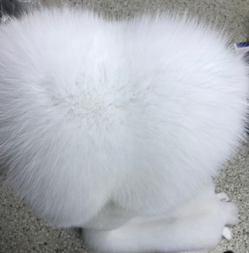 Puede incluir: Un pomp&oacute;n de piel blanca y esponjosa. La piel es muy suave y gruesa.