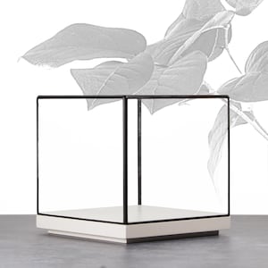 16x16x16 cm (6,3x6,3x6,3 inches)-Glass Display Showcase for jewelry, fossils, or precious objects-tabletop-matt white