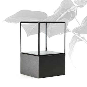 9x9x15 cm (3.5x3.5x5.9 inches)-Glass Display Showcase for fossils, miniatures, jewelry, or other-Tabletop-Anthracite
