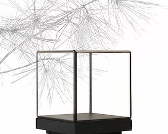 9x9x11 cm (3.5x3.5x4.3 inches)-Glass Display Showcase for miniatures, jewelry, mineral collection or other-Tabletop-Matt Black Finish