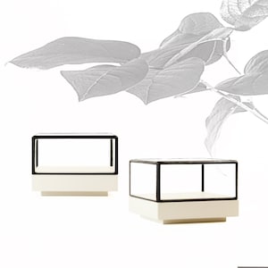 9 x 9 x 6,5 cm (3,5 x 3,5 x 2,5 pouces) - Paire de vitrines en verre pour bijoux, fossiles ou autres objets - dessus de table - Blanc mat