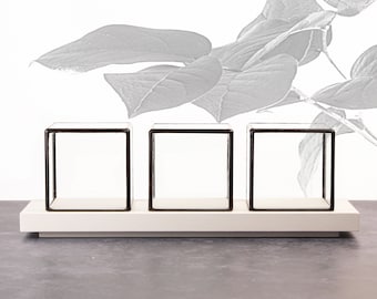 3 Glass Displays 7x7x7 cm (2.7x2.7x2.7 inches) for jewelry, fossils, or precious objects-tabletop-matt white